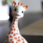 Best Teether For Babies